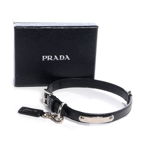 prada dog collar